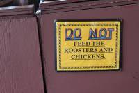 Schild in einem Lokal auf Key West &bdquo;F&uuml;ttere nicht die Tauben und H&uuml;hner&ldquo;